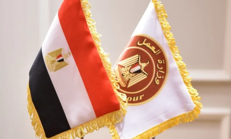 مفتاح مستقبلك بين يديك ... الحكومة تطرح فرص عمل جديدة للشباب بالجيزة والقاهرة 2024 اغتنم الفرصه 1 الحكومة تطرح فرص عمل جديدة للشباب