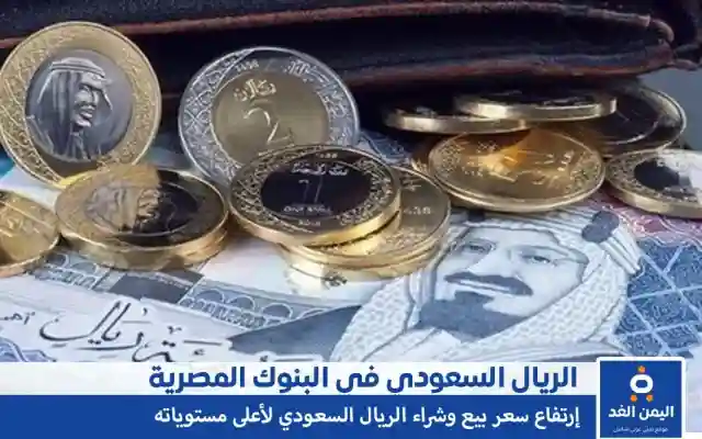 سعر الريال السعودي في مصر 4-11-2024 إرتفاع جنوني للريال السعودي في البنوك المصرية السوق السوداء