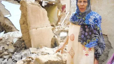 أرينا فكتور