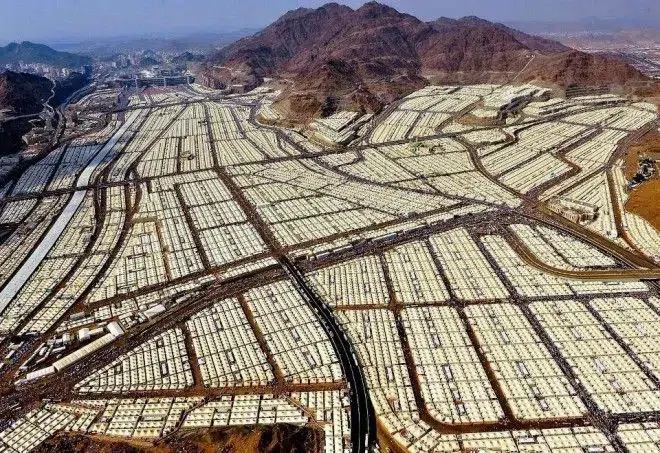 سعر حديد عز اليوم 13 ديسمبر 2024 بالجنية المصري كم سعر طن الحديد 1 d8d1ebf2e3770fed8b045b2fe86b27ab