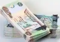 سعر الدرهم الإماراتي مقابل الجنية المصرية 9-12-2024 اليوم الإثنين في مصر