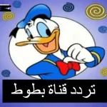 تردد قناة بطوط كيدز2