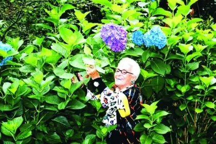 روزيتا ميسوني