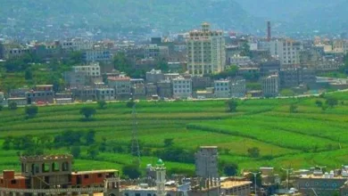 إنتحار إمراءة من محافظة إب بعد رمي نفسها من النافذة | alyemenalghad.news