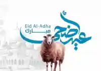 رسائل عيد الأضحى 2026 مع مسجات العيد بمناسبة العيد 1447 رسائل واتس اب الحج صور عيد الأضحى
