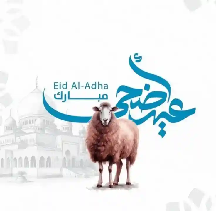 رسائل عيد الأضحى 2026 مع مسجات العيد بمناسبة العيد 1447 رسائل واتس اب الحج صور عيد الأضحى