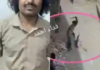 الأمن في مأرب يلقي القبض على معتدٍ على طفل بعد انتشار واسع لفيديو الاعتداء