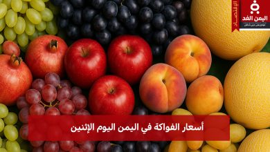 سوق الفواكه في اليمن عرض سعر يوم الإثنين 28 يوليو يزهر بالألوان والنكهات 6 عرض سعر يوم الإثنين 28 يوليو