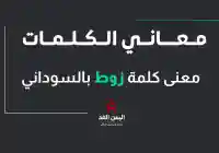 معنى كلمة زوط بالمعجم العربي معاني الكلمات السعودية – السودانية