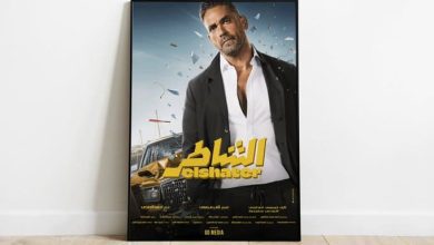 فيلم الشاطر