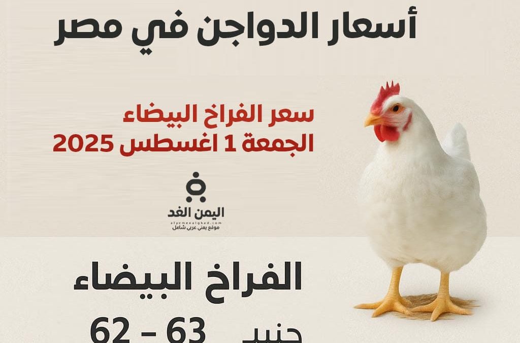أسعار الدواجن اليوم الجمعة 1 أغسطس 2025