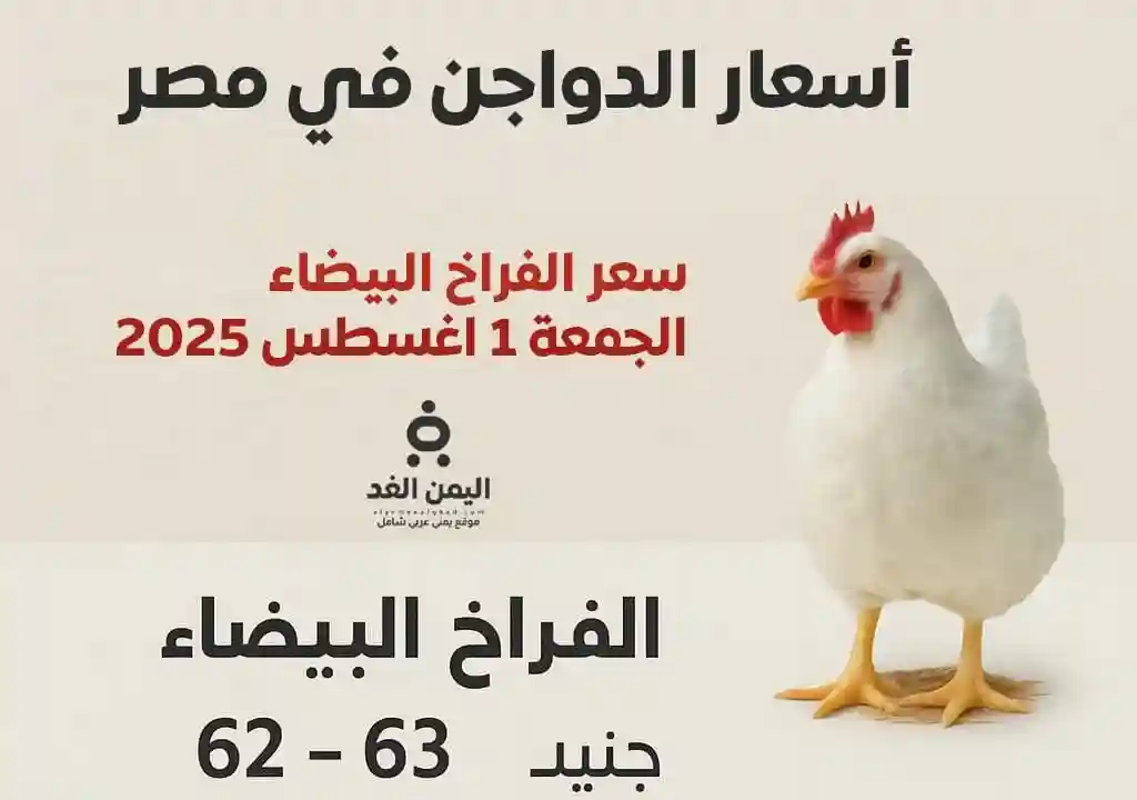 أسعار الدواجن اليوم الجمعة 1 أغسطس 2025 في الأسواق المصرية الفراخ البيضاء
