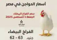 أسعار الدواجن اليوم الجمعة 1 أغسطس 2025 في الأسواق المصرية الفراخ البيضاء