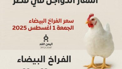 أسعار الدواجن اليوم الجمعة 1 أغسطس 2025