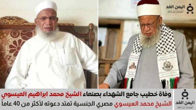 الشيخ محمد إبراهيم العيسوي