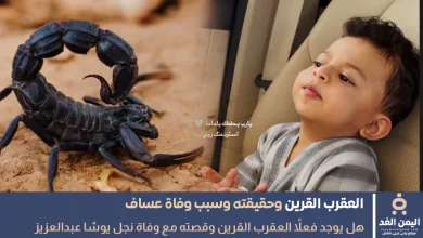 نفي وجود العقرب القرين بعد حادثة وفاة عساف ولد يوشا عبدالعزيز