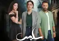 ملخص مسلسل سلمى الحلقة 33 حين تتكلم الصمت وتفضح العيون