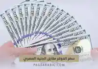 تطورات سوق الصرف.. استقرار الدولار في مصر اليوم الجمعة وسط قرارات التوحيد النقدي