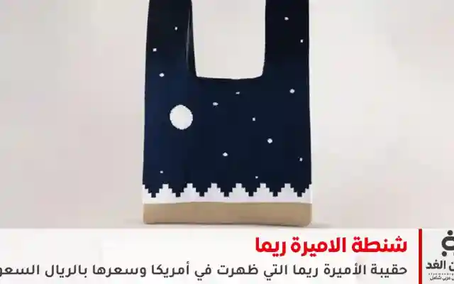 صدمة كبيرة بعد معرفة ثمن سعر شنطة الاميرة ريما ولماذا ترمز