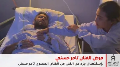 الفنان تامر حسني