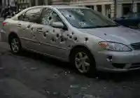 مصادر قبلية توضح ملابسات التحكيم في قضية مقتل هشام الضبيبي بصنعاء