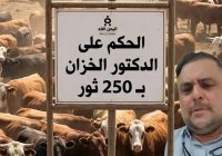 سابقة قبلية تثير الجدل: تفاصيل الحكم على الدكتور ماجد الخزان بـ 250 ثوراً وإغلاق عيادته بصنعاء
