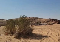 محاولة إغتيال الشيخ حمد بن فدغم بين الحقيقة والتريند